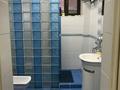 Жеке үй · 8 бөлме · 280 м² · 8 сот., Кок дала 2 257, бағасы: 800 000 ₸ в Иргели — фото 8