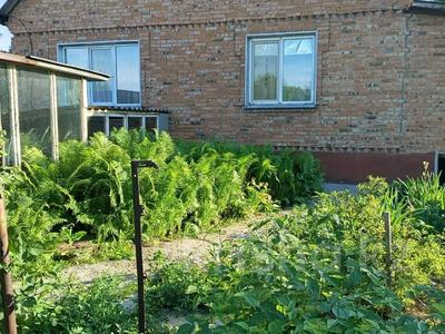 Отдельный дом · 3 комнаты · 134 м² · 10 сот., Щербакова 31А за 24 млн 〒 в Усть-Каменогорске