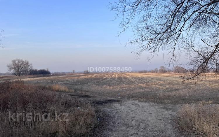 Жер телімі · 9.1 га, Еңбекші (Талғар ауданы), бағасы: 870 млн ₸ в Енбекши (Талгарский район) — фото 2