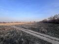 Жер телімі · 9.1 га, Еңбекші (Талғар ауданы), бағасы: 870 млн ₸ в Енбекши (Талгарский район) — фото 8