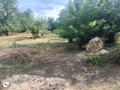 Отдельный дом · 2 комнаты · 64 м² · 22 сот., Байтерек 40б — Возле магазина Бегемот за 15 млн ₸ в  — фото 11