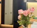 1-бөлмелі пәтер · 40 м² · 3/12 қабат, Сейфуллина 416 — Макатаева, бағасы: 23 000 ₸ в Алматы, Алмалинский р-н — фото 12