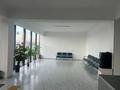 Медцентры и аптеки · 35 м² за 500 000 ₸ в Шымкенте, Каратауский р-н — фото 3