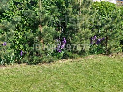 Дача · 3 комнаты · 72 м² · 5 сот., Тобольская за 16 млн 〒 в Костанае