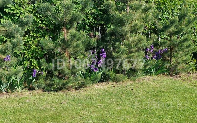 Дача · 3 комнаты · 72 м² · 5 сот., Тобольская за 16 млн 〒 в Костанае — фото 2