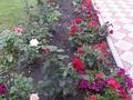 Отдельный дом · 9 комнат · 380 м² · 11 сот., Тепличная 12 — КСК за 130 млн ₸ в Костанае — фото 6