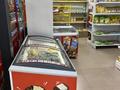 Магазины и бутики · 151 м² за 195 млн ₸ в Астане, Есильский р-н — фото 16