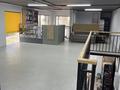 Магазины и бутики · 151 м² за 195 млн ₸ в Астане, Есильский р-н — фото 30