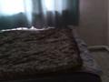 Отдельный дом · 6 комнат · 150 м² · 18 сот., Сарыарка 54 — Возле школы Т.Аубакирова за 25 млн ₸ в Байдибек би — фото 5
