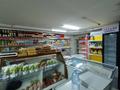 Дүкендер мен бутиктер, сұлулық салондары · 196.2 м², бағасы: ~ 32.5 млн ₸ в Кокшетау — фото 4