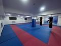Развлечения, студии · 100 м² за 250 000 ₸ в Алматы, Наурызбайский р-н — фото 2