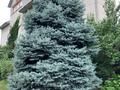 Жеке үй · 8 бөлме · 480 м² · 15.5 жүзд., Құрамыс ш/а. 36 — Уржар, бағасы: 190 млн ₸ в Алматы, Наурызбайский р-н — фото 20