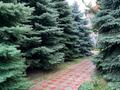 Жеке үй · 8 бөлме · 480 м² · 15.5 жүзд., Құрамыс ш/а. 36 — Уржар, бағасы: 190 млн ₸ в Алматы, Наурызбайский р-н — фото 5