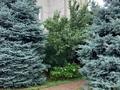 Жеке үй · 8 бөлме · 480 м² · 15.5 жүзд., Құрамыс ш/а. 36 — Уржар, бағасы: 190 млн ₸ в Алматы, Наурызбайский р-н — фото 6