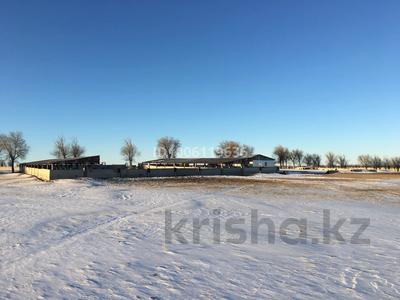 Участок · 460 га, Алматинская обл. за 260 млн ₸