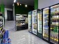 ! ДЕЙСТВУЮЩИЙ БИЗНЕС СУПЕРМАРКЕТ · 251 м², бағасы: ~ 50 млн ₸ в Туркестане — фото 25