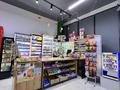 ! ДЕЙСТВУЮЩИЙ БИЗНЕС СУПЕРМАРКЕТ · 251 м², бағасы: ~ 50 млн ₸ в Туркестане — фото 30