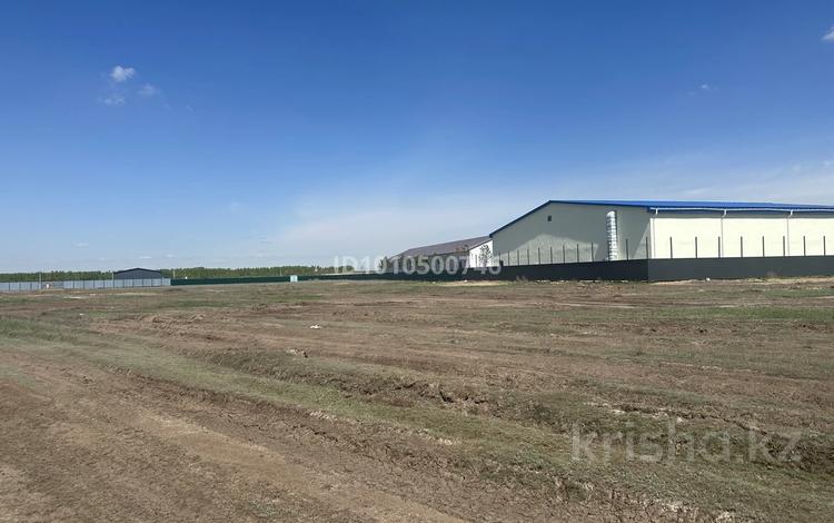 Жер телімі · 1 га, Бирлик 9/15, бағасы: 120 млн ₸ в Жибек Жолы — фото 8