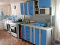 Отдельный дом · 4 комнаты · 70 м² · 10 сот., Кирова 1 — Теренколскии район село Байконыс за 3 млн ₸ в Песчаном — фото 12