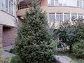 2-комнатная квартира · 50 м² · 5/10 этаж, мкр Каргалы, Кенесары хана 54/1-45 — Выше Аль - Фараби за 250 000 ₸ в Алматы, Наурызбайский р-н — фото 24