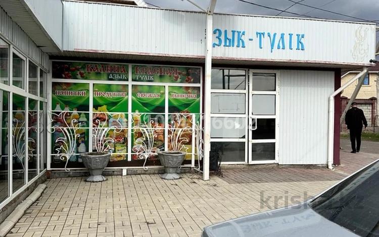 Офисы, магазины и бутики, склады, общепит, салоны красоты, медцентры и аптеки, образование, кабинеты и рабочие места, студии · 75 м² за 300 000 ₸ в Шымкенте, Туран р-н — фото 2