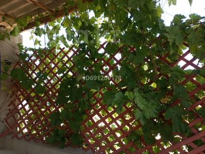 Отдельный дом · 5 комнат · 180 м² · 15 сот., Бекенжанова 16 за 15 млн 〒 в С.шапагатовой