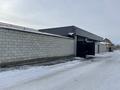 Еркін · 500 м², бағасы: 358 млн ₸ в Кыргауылдах