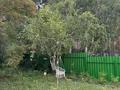 Отдельный дом · 6 комнат · 230 м² · 10 сот., Жибек жолы 6 — Космоцентр за 500 000 ₸ в Акколе — фото 9