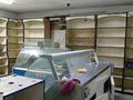 Магазины и бутики · 54.5 м² за 40 млн ₸ в Алматы, Турксибский р-н — фото 7