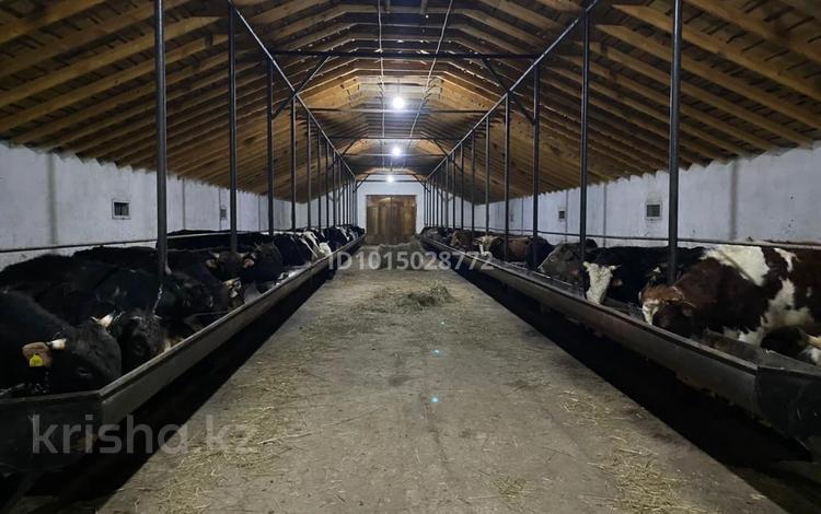 Өнеркәсіптік база · 3000 сотық, Центр 1, бағасы: 95 млн ₸ в  — фото 2