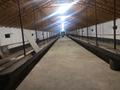 Өнеркәсіптік база · 3000 сотық, Центр 1, бағасы: 95 млн ₸ в  — фото 10
