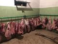 Өнеркәсіптік база · 3000 сотық, Центр 1, бағасы: 95 млн ₸ в  — фото 9