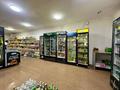 Магазины и бутики · 210 м² за 60 млн ₸ в  — фото 13