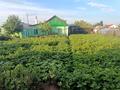 Отдельный дом · 3 комнаты · 60 м² · 6 сот., Жамбыла 18б за 15 млн ₸ в Сарани — фото 5