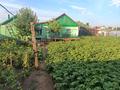 Отдельный дом · 3 комнаты · 60 м² · 6 сот., Жамбыла 18б за 15 млн ₸ в Сарани — фото 6