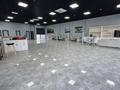 Еркін · 260 м², бағасы: 2.5 млн ₸ в Актобе — фото 13