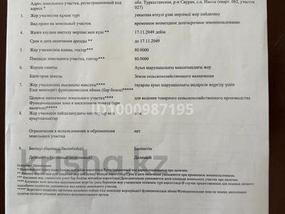 Участок · 80 га, Туркестан за 20 млн ₸
