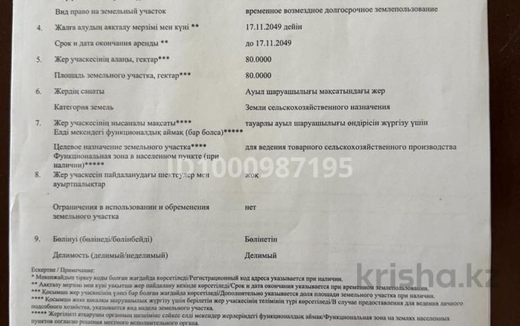 Участок · 80 га, Туркестан за 20 млн ₸ — фото 6