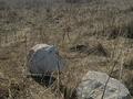 Участок · 10 соток, 10-й Микрорайон 36 — Срочно срочно срочно за 3 млн ₸ в Жибек Жолы — фото 3
