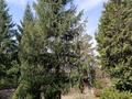 Жеке үй · 10 бөлме · 1547.4 м² · 42.7 жүзд., Горный Гигант ш/а., улица Ондасынова 169, бағасы: ~ 1.7 млрд ₸ в Алматы, Медеуский р-н — фото 5