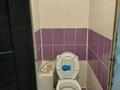 Отдельный дом · 5 комнат · 200 м² · 17 сот., Жартас, Садовая 16 — Санаторий Жартас за 15 млн ₸ в Карагандинской обл. — фото 9