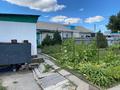 Отдельный дом · 3 комнаты · 85 м² · 10 сот., Ул.Рыскулова 18Б за 32 млн ₸ в Семее — фото 19