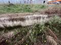 Участок · 10 соток, Кудайбергена Жубанова 7 за 11 млн ₸ в Кояндах — фото 9