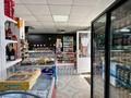 Жеке үй · 5 бөлме · 146.2 м² · 18 жүзд., 70 лет Октября , бағасы: 70 млн ₸ в Дружбе — фото 12