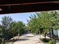 Отдельный дом · 3 комнаты · 80 м² · 8 сот., Шымбулак 63 за 18 млн ₸ в Косозен — фото 13