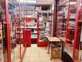 Сұлулық салондары · 230 м², бағасы: 110 млн ₸ в Талдыкоргане — фото 9