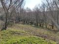 Отдельный дом · 3 комнаты · 45 м² · 25 сот., Наурызбай Батыра 30 за 6.5 млн ₸ в  — фото 9