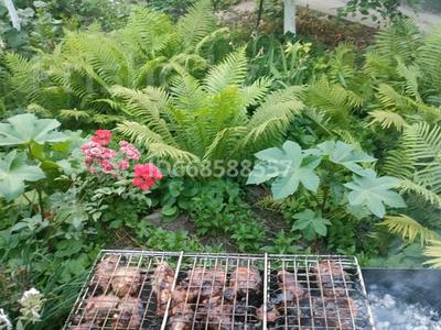 Дом · 2 комнаты · 30 м², Мкр Спутник 50 за 6 000 〒 в Конаеве (Капчагай)