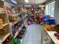 Отдельный дом · 4 комнаты · 150 м² · 150 сот., улица С. Кожанов 93 за 28 млн ₸ в Туркестане — фото 6