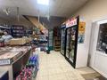 Еркін, кеңселер, дүкендер мен бутиктер, сұлулық салондары, медорталықтар мен дәріханалар, білім орталықтары · 257 м², бағасы: 75 млн ₸ в  — фото 5